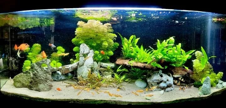 Akvarium