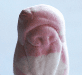 Skumtomten